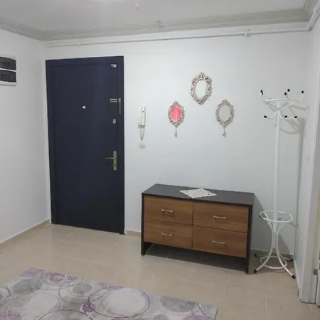 Apartament شقة مفروشة في قلب بورصا 38